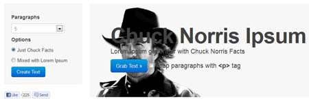 Chuck Norris Ipsum